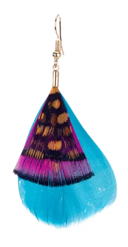 Colorful Feather Earrings