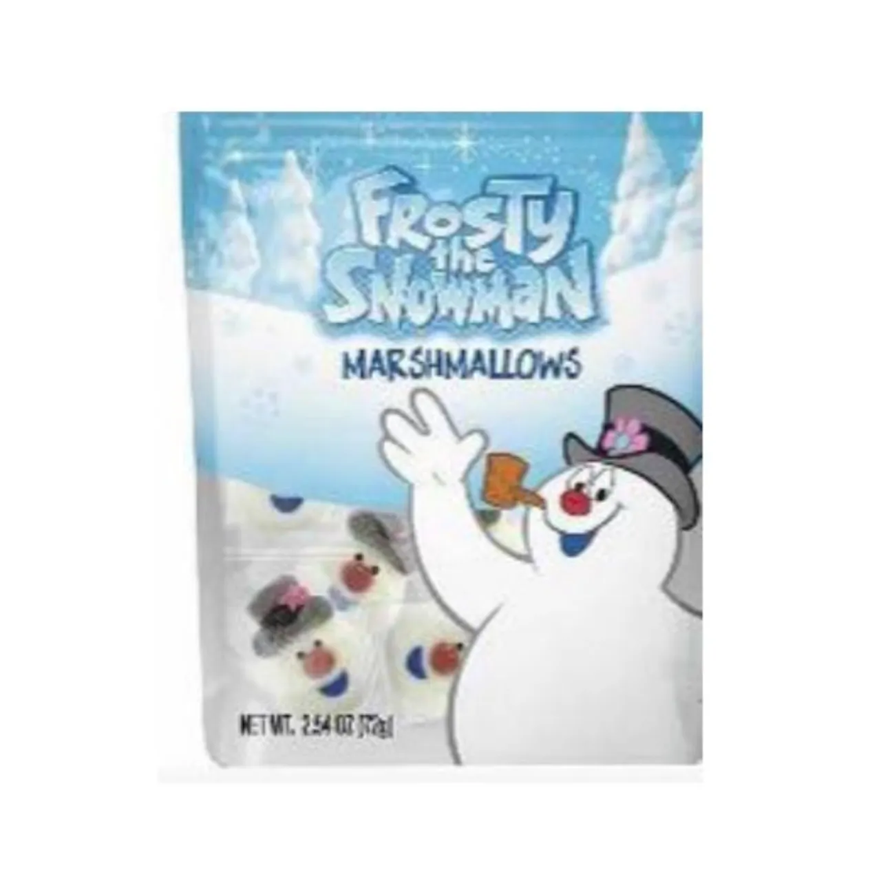 Frosty The Snowman Floaties Pouch