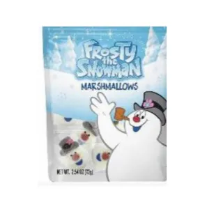 Frosty The Snowman Floaties Pouch