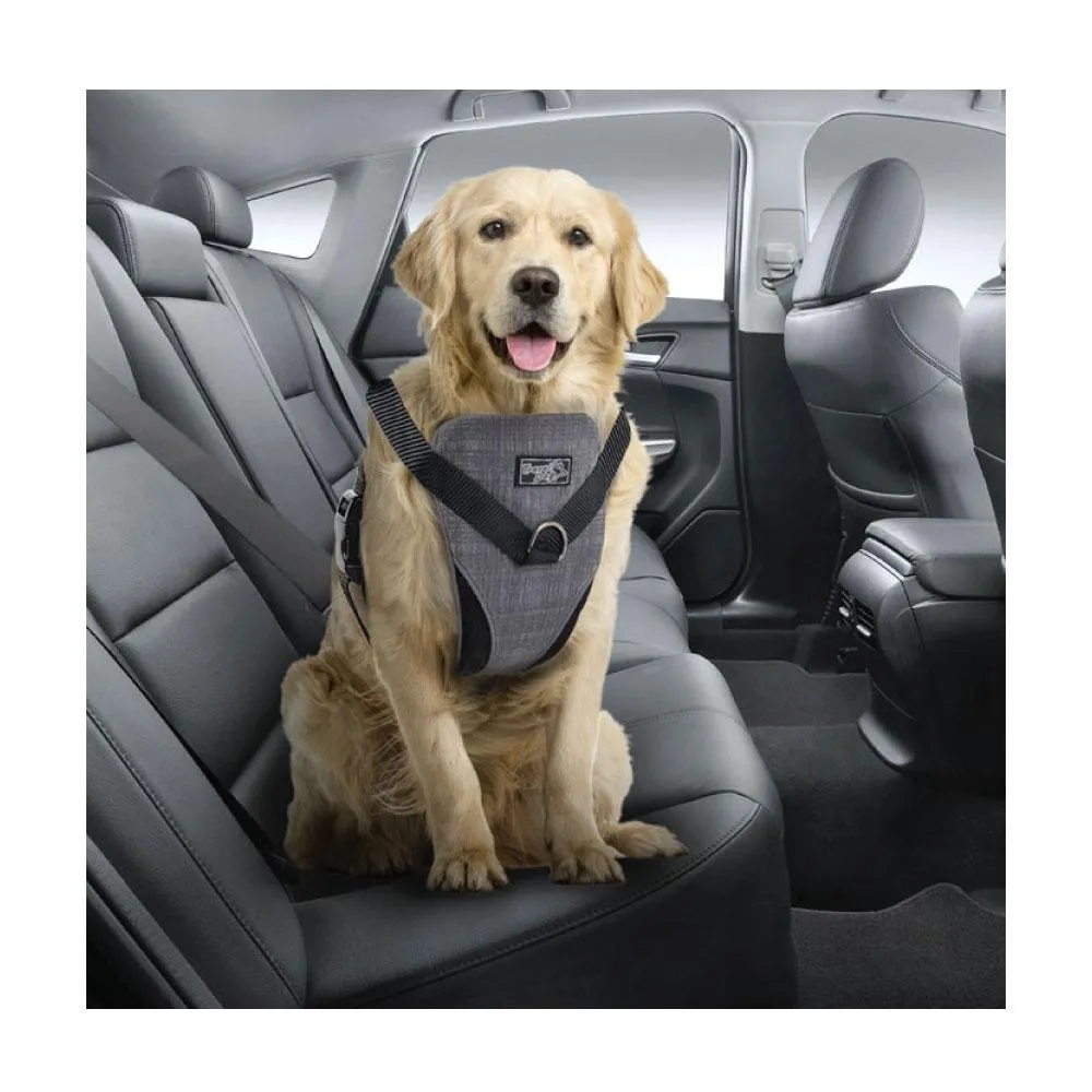 L Dog Harness 2 in 1 Combo - Car Travel Rides   Walks - No Pull Leash Seat Belt