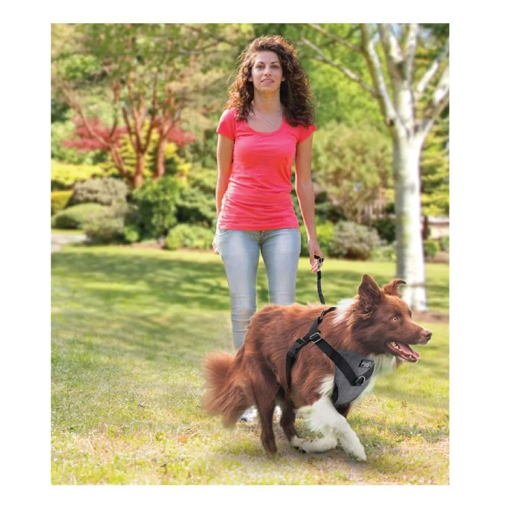 L Dog Harness 2 in 1 Combo - Car Travel Rides   Walks - No Pull Leash Seat Belt