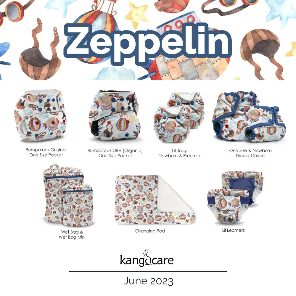 Lil Joey All In One Cloth Diaper (2 pk) - Zeppelin