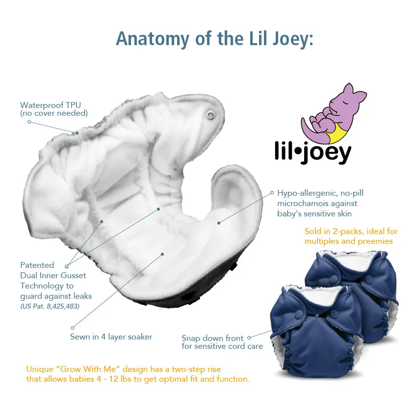 Lil Joey All In One Cloth Diaper (2 pk) - Zeppelin