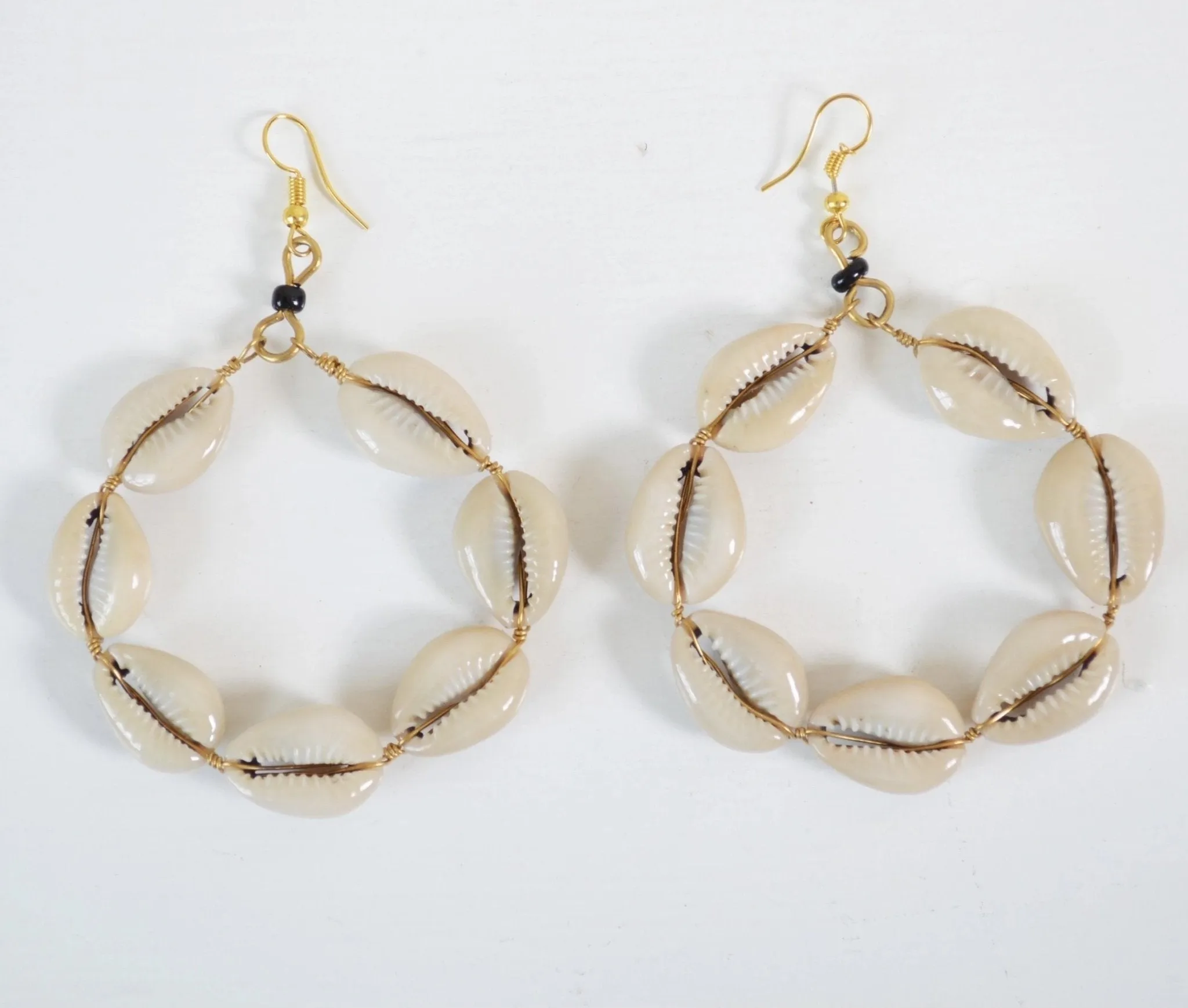 Natural Cowrie Shell Earrings