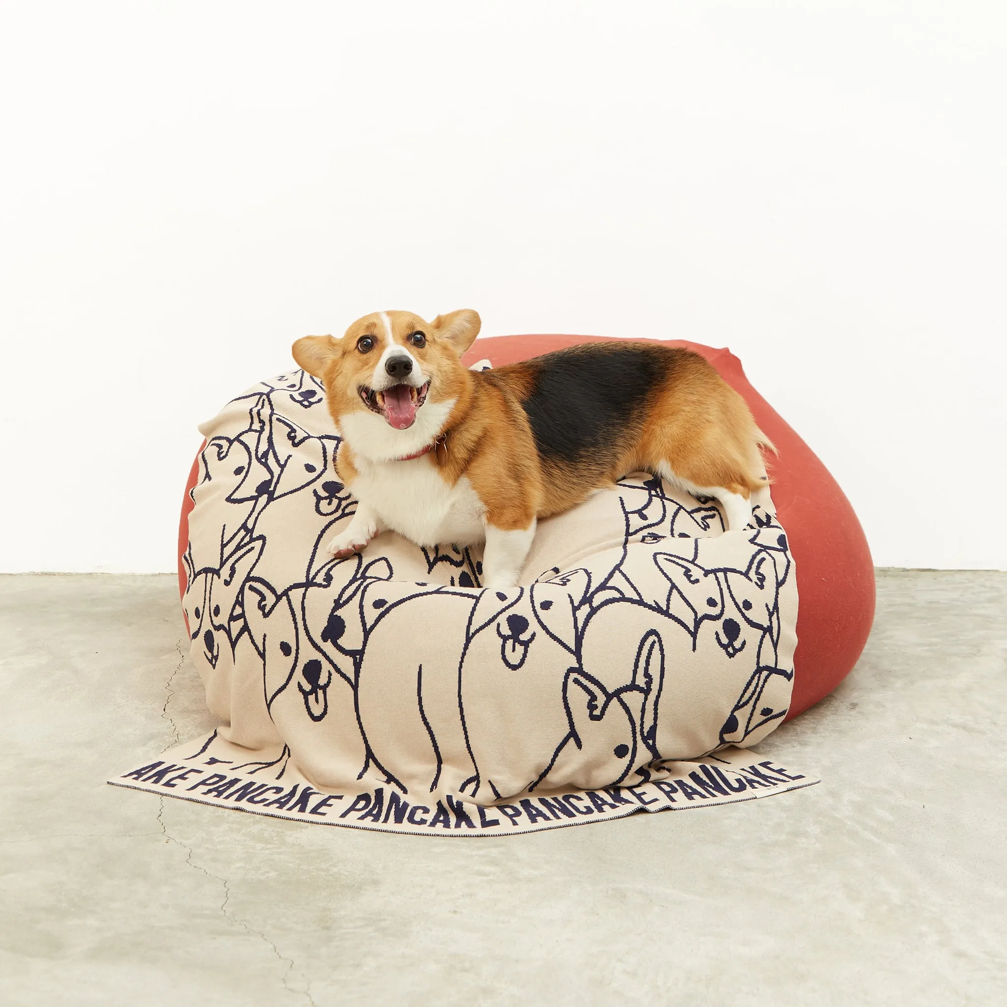 TinyBitz x GG: Personalized Blanket for Corgi